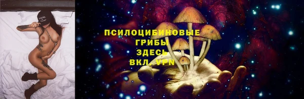 СК Пересвет