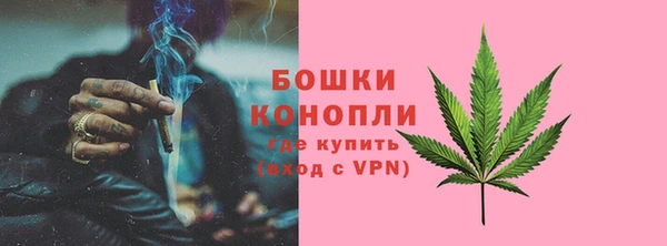 прущие крисы Рославль