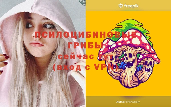 СК Пересвет